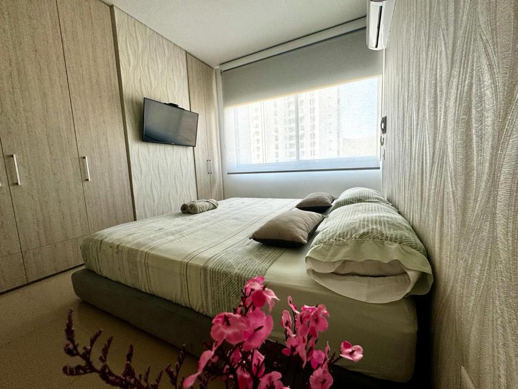 Samaria Club De Playa By Santa Marta Playa Resort, Preciosos Apartamentos En El Sector Exclusivo De Pozos Colorados 외부 사진